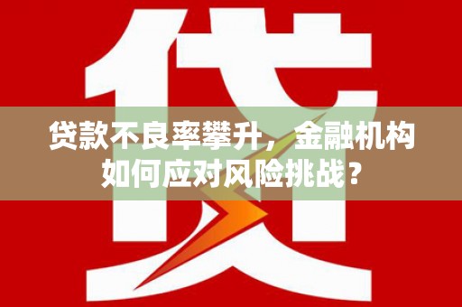上甘岭贷款不良率攀升，金融机构如何应对风险挑战？