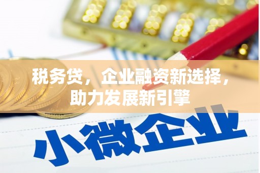 上甘岭税务贷，企业融资新选择，助力发展新引擎