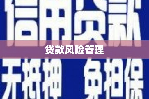 上甘岭贷款风险管理