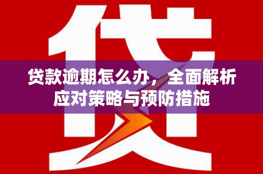 上甘岭贷款逾期怎么办，全面解析应对策略与预防措施