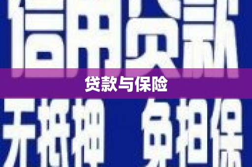 上甘岭贷款与保险