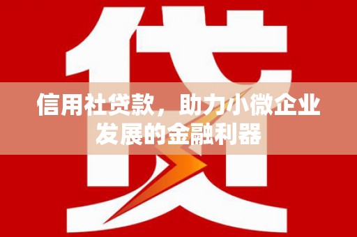 上甘岭信用社贷款，助力小微企业发展的金融利器