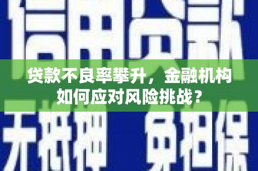 上甘岭贷款不良率攀升，金融机构如何应对风险挑战？