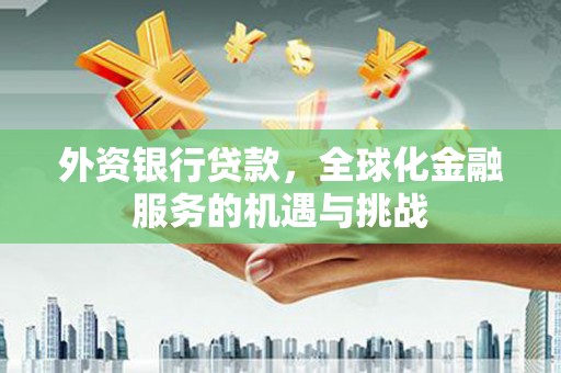 上甘岭外资银行贷款，全球化金融服务的机遇与挑战