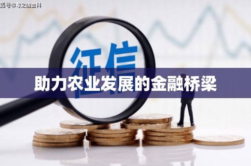上甘岭助力农业发展的金融桥梁