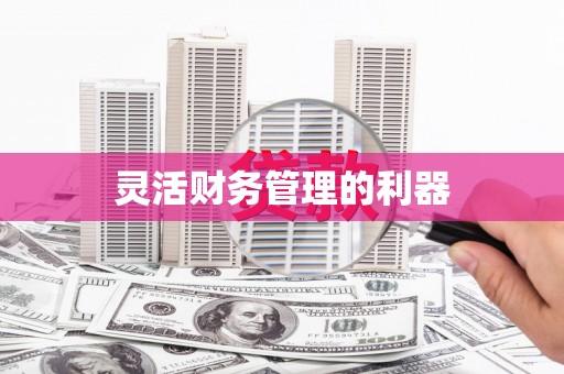 上甘岭灵活财务管理的利器