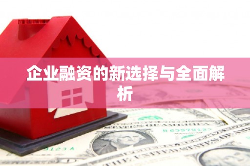 上甘岭企业融资的新选择与全面解析