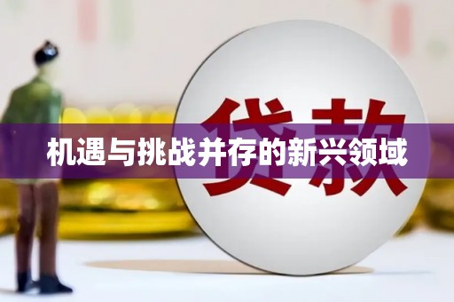 上甘岭机遇与挑战并存的新兴领域