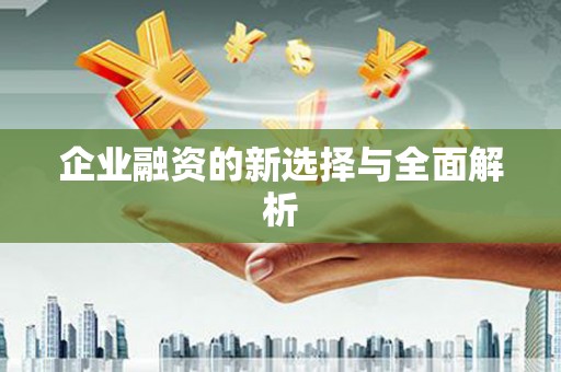 上甘岭企业融资的新选择与全面解析