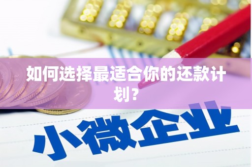 上甘岭如何选择最适合你的还款计划？