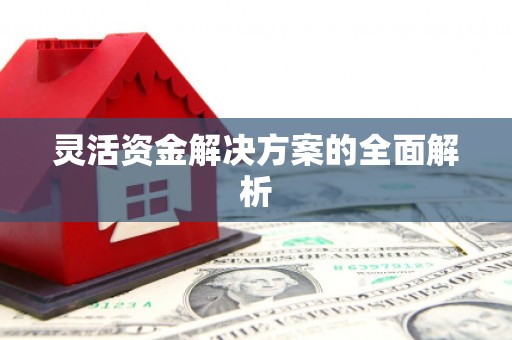 上甘岭灵活资金解决方案的全面解析