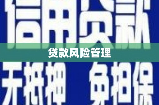 上甘岭贷款风险管理