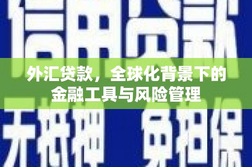 上甘岭外汇贷款，全球化背景下的金融工具与风险管理