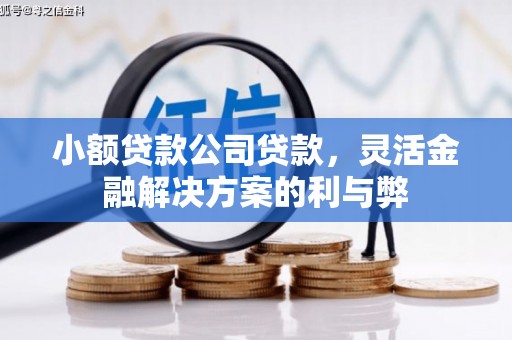 上甘岭小额贷款公司贷款，灵活金融解决方案的利与弊